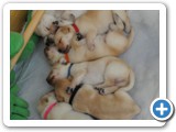 2.Woche
