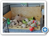 4.Woche