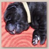 2woche1