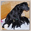 2woche4