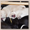 2woche5
