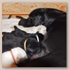 2woche6