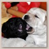 3woche1