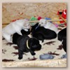 3woche4